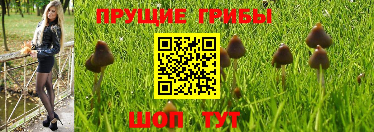 Галлюциногенные грибы прущие грибы  Вход с VPN  Ижевск  наркошоп  Псилоцибиновые грибы MAGIC MUSHROOMS 