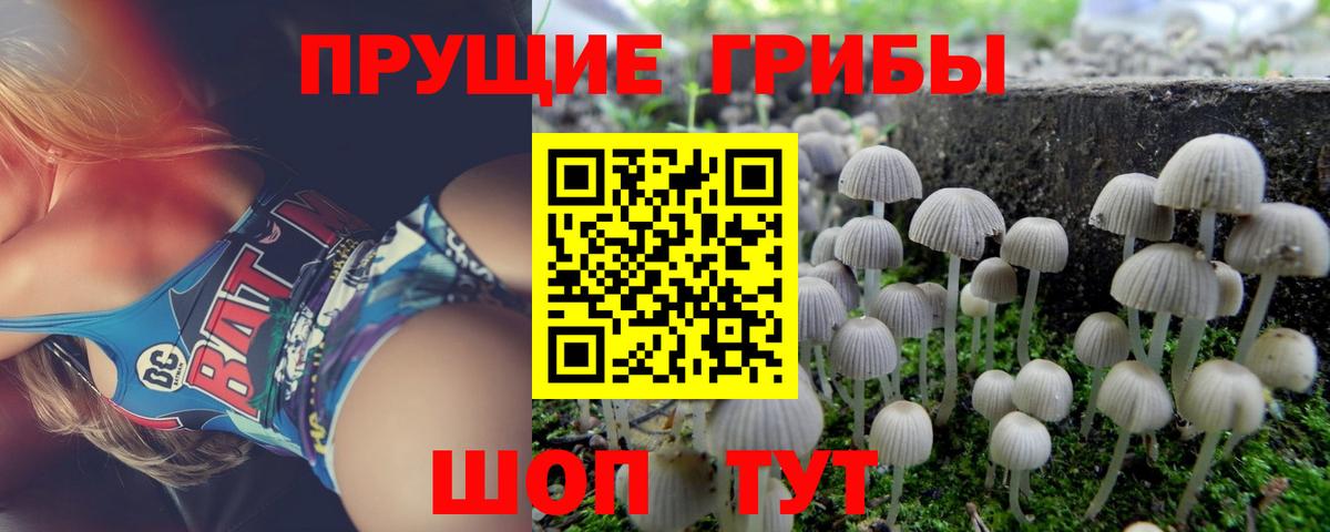 Псилоцибиновые грибы GOLDEN TEACHER Ижевск
